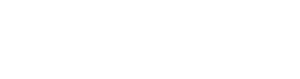 Netvisor logo